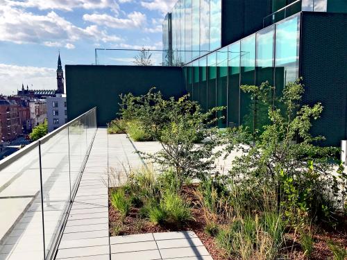 Roof terrace with plant beds and paving